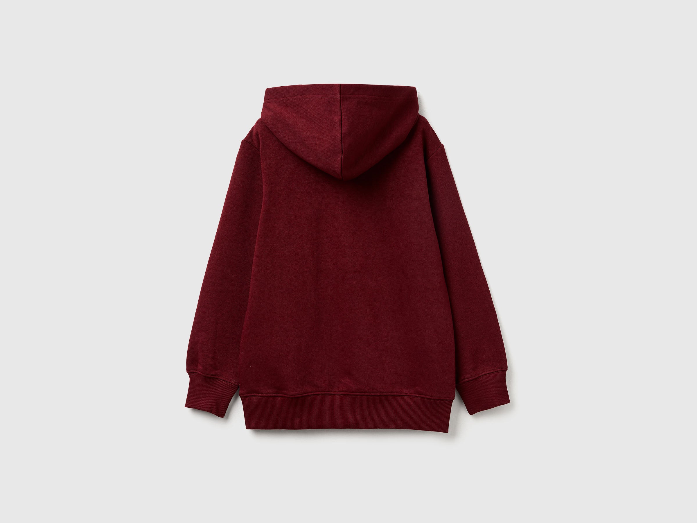 Sweat com capuz ©Harvard University - ucb_image_BS