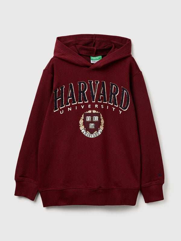 Hoodie ©Harvard University Junior Boy