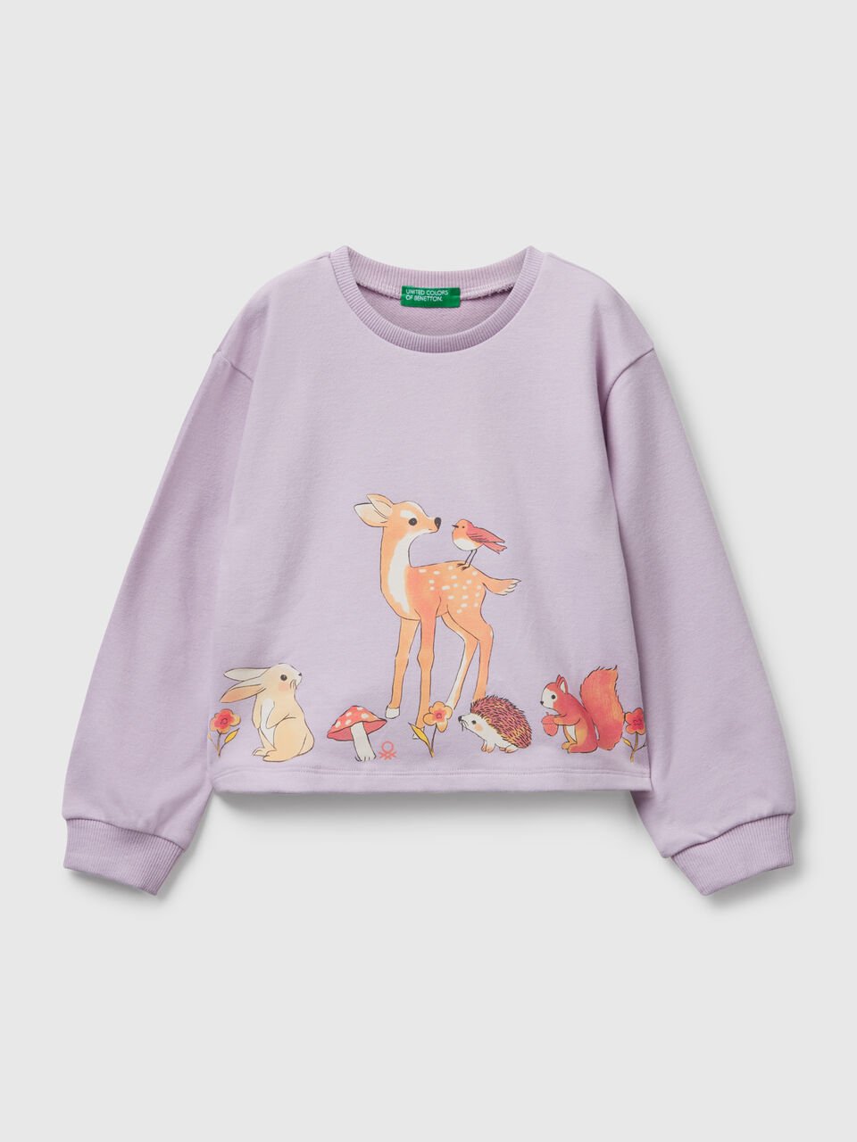 SWEATER L/S Junior Girl image number 1
