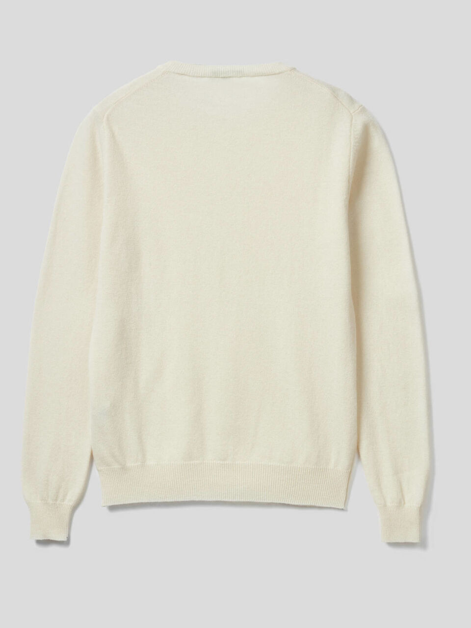 Crew neck sweater in pure virgin wool image number null